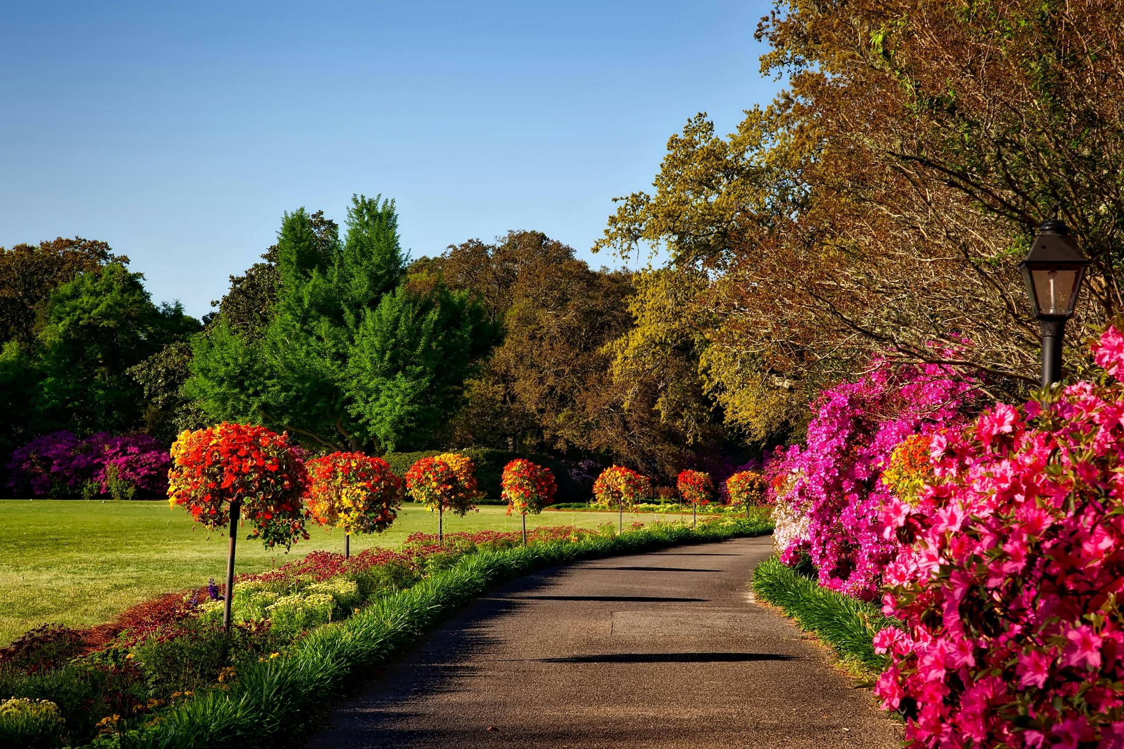 Flower Garden